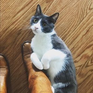 Meet your Posher, Danielle